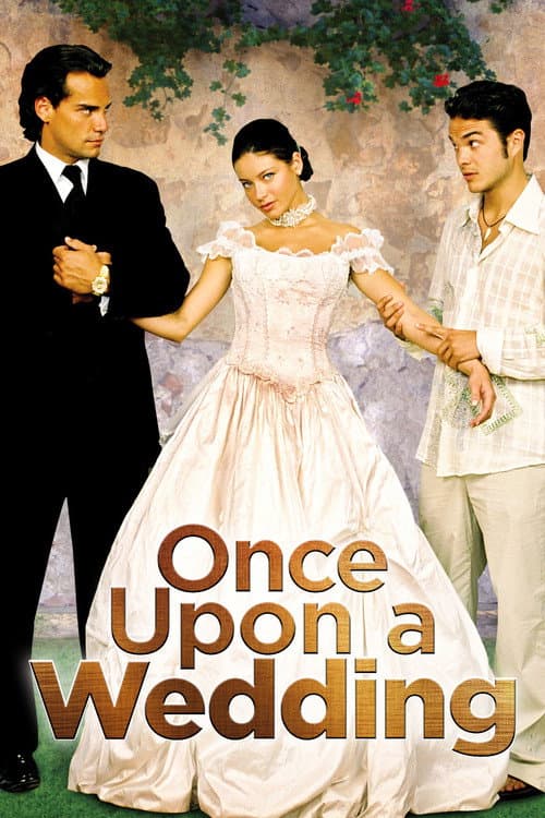 Once Upon a Wedding