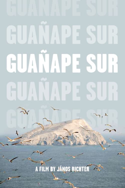 Guañape sur